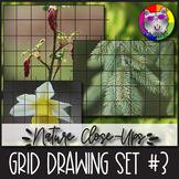 10 Grid Draw Art Activities, Grid Drawings, Nature Close-U