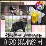 10 Grid Draw Art Activities, Grid Drawings of Nature, Set 1