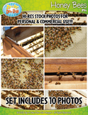 10 Honey Bees Stock Photos Pack — Includes Commercial License!