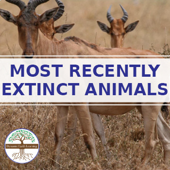 Extinct Animals Worksheets Teaching Resources | TPT