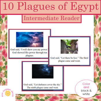 Preview of Moses: 10 Plagues of Egypt, Intermediate Reader