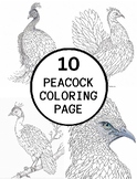 10 Realistic Peacock (Peafowl) Coloring Pages Adults (colo