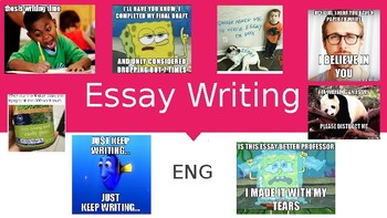 Preview of 10 Step Essay Writing