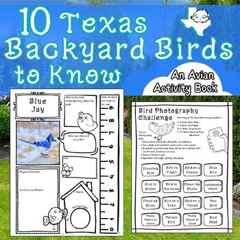 Preview of 10 Texas Backyard Birds to Know | Avian Activity Book