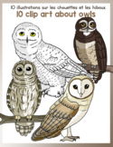 10 clip art about owls