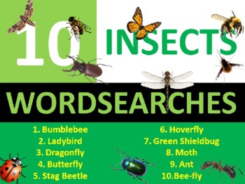 10 x Insects Wordsearch Puzzle Sheet Keywords Animals Types of Dinos