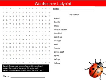 10 x Insects Wordsearch Puzzle Sheet Keywords Animals Types of Dinos