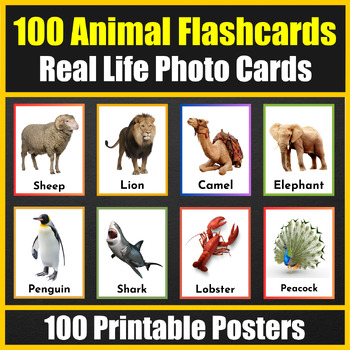 Preview of 100 Animal Vocabulary Flash cards with real photos