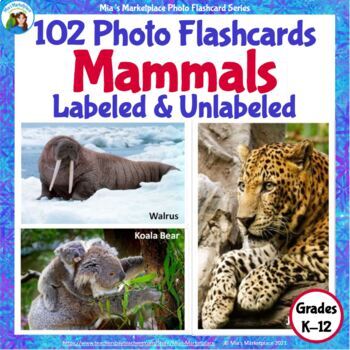 Preview of 102 Animal Photo Flashcards: Mammals