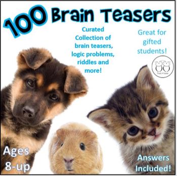 Preview of 100 Brain Teasers , Logic Problems , and Riddles for Brain Breaks and More!