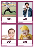 100 action verbs in arabic /100 les verbes en arabe/بطاقات