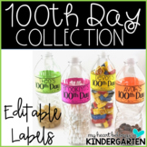 100th Day of School Activities - Collection Letter and EDI