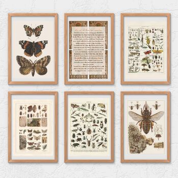 Preview of 10x FOREST SCHOOL POSTERS