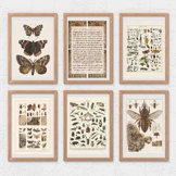 10x FOREST SCHOOL POSTERS