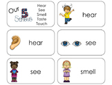 11 5 Senses Beginning Stages Flashcards. Preschool-1st Grade