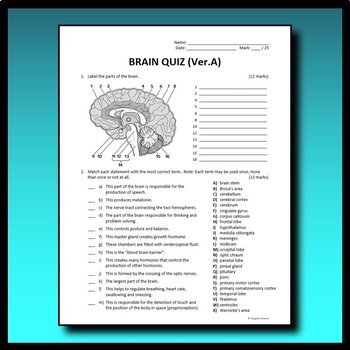 complete anatomy quizzes