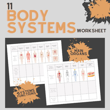 Preview of 11 Body System Worksheet || Systems Functions & Main Organs || Picture of System