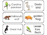 11 Extinct Animals Printable Flashcards. Preschool-3rd Grade