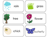 11 Spring Beginning Stages Flashcards. Preschool-1st Grade