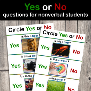 Preview of 114 YES NO questions | non verbal students | speech therapy 