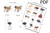 12 Animals of Africa 3-Part Cards - Montessori Nomenclature