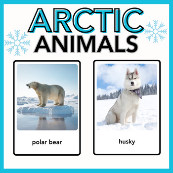 Arctic Animals Vocabulary Activities for Preschool and Pre-K