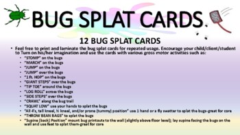 Preview of 12 BUG SPLAT CARDS: Spring/Summer Gross Motor Game/Activity (Physical Therapy)