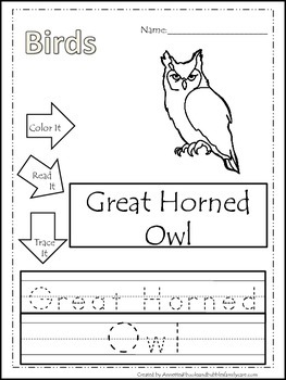 12 Bird themed printable preschool worksheets. Color, Read, Trace wor