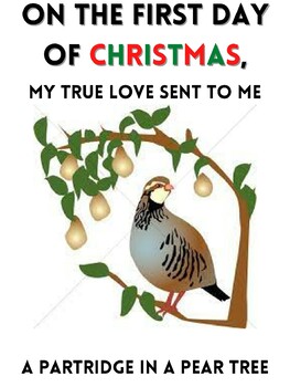 Preview of 12 Days of Christmas Fun Lyric Cards with Pictures