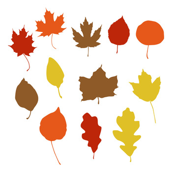 12 Fall Leaf Silhouettes Clipart, Autumn Leaves Clip Art ...