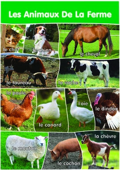 12 Farm Animals Poster- A3 size - French Version. by MFL :The Spanish shop