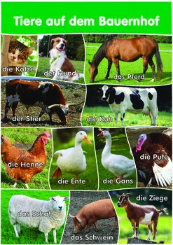 Preview of 12 Farm Animals Poster- A3 size - German Version.