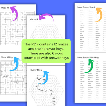 Preview of 12 Mazes & 6 Word Scrambles for Brain Breaks, Sub Days, After Testing, & More