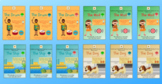 12 Phonetically Aligned Decodable Books-4 Stories, 3 Level