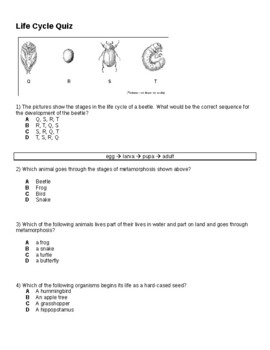 Preview of 12 Question Science: Life Cycle Quiz (Animals/Plants) with Teacher ANSWER KEY