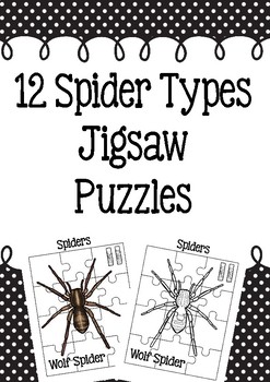 12 Spider Jigsaw Puzzles