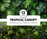 12 Tropical Canopy Digital Backgrounds for Photography, Sc