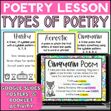 12 Types of Poetry Lesson, Posters, and Booklet Activity