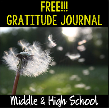 Preview of 12-Week "Gratitude Journal" for Teens- distance learning option