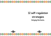 12 self-regulations booklet