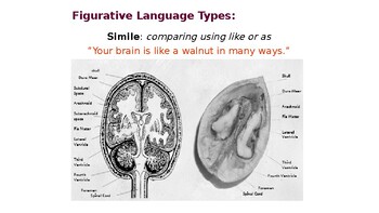 Preview of 12 types of figurative language with examples PPT(editable resource)