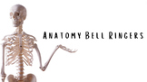 120 Anatomy & Physiology Bell Ringers - Editable Template