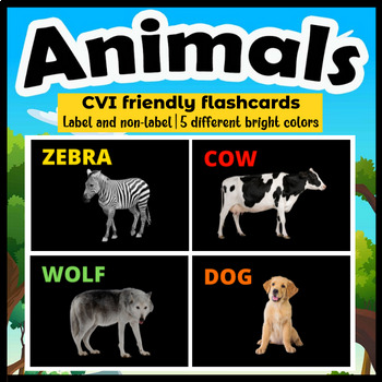 Preview of Animal Flashcards for kids with CVI:High contrast & bright colors(5 colors)