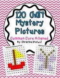 120 Chart Mystery Pictures {CCSS Aligned}