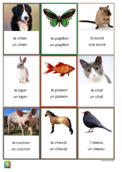 180 Flashcards Animals in French by Souris verte | TPT
