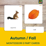 12Autumn Montessori 3-part cards, Fall classified cards (E