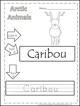 13 Arctic Animal themed printable preschool worksheets. Color, Read