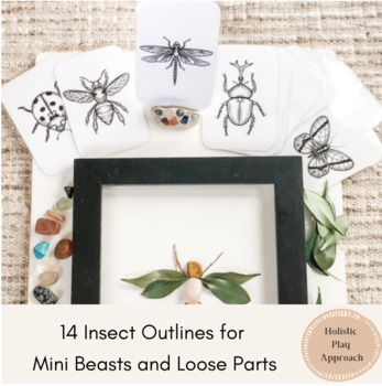 Preview of 14 Insect Outlines for Mini Beasts and Loose Parts