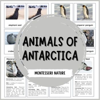15 Animals of Antarctica - Montessori Nomenclature and Information Cards