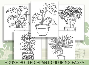 Preview of 15 Beautiful House Potted Plants Coloring Pages: Bring Nature Indoors, PDF File